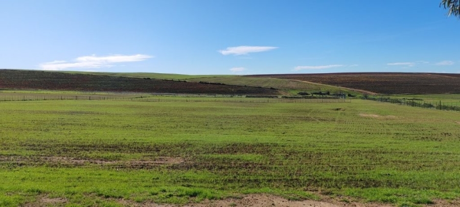 0 Bedroom Property for Sale in Darling Western Cape